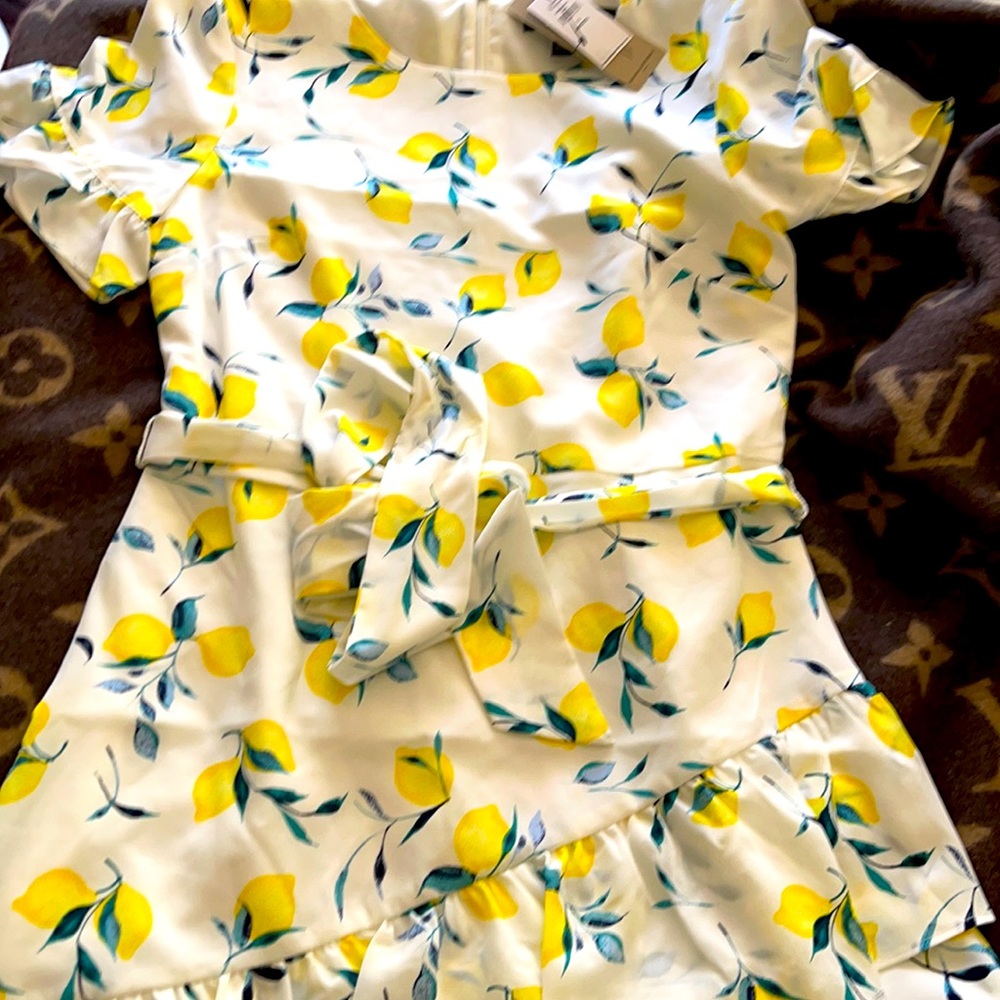 Banana republic Dress New w/t